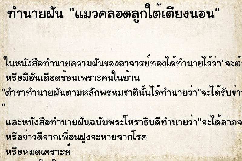 ทำนายฝัน แมวคลอดลูกใต้เตียงนอน ทำนายฝัน แมวคลอดลูกใต้เตียงนอน