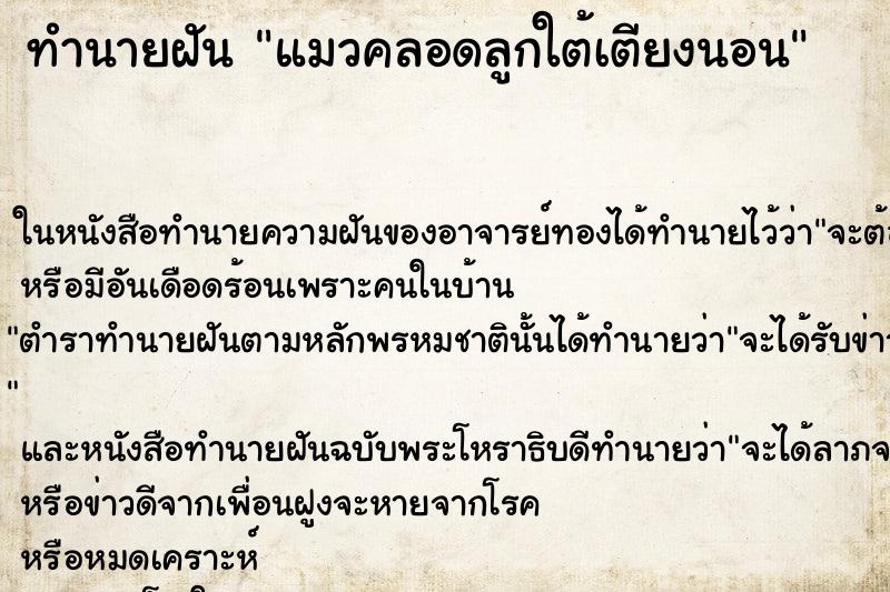 ทำนายฝัน แมวคลอดลูกใต้เตียงนอน ตำราโบราณ แม่นที่สุดในโลก