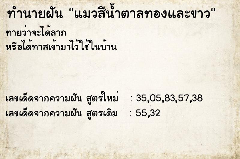 ทำนายฝันแมวสีน้ำตาลทองและขาว ทำนายฝันทำนายฝันแมวสีน้ำตาลทองและขาว