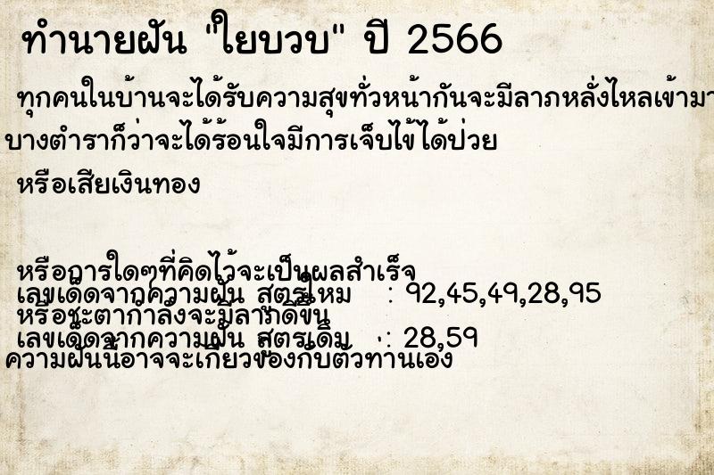 ทำนายฝันใยบวบ ทำนายฝันทำนายฝันใยบวบ
