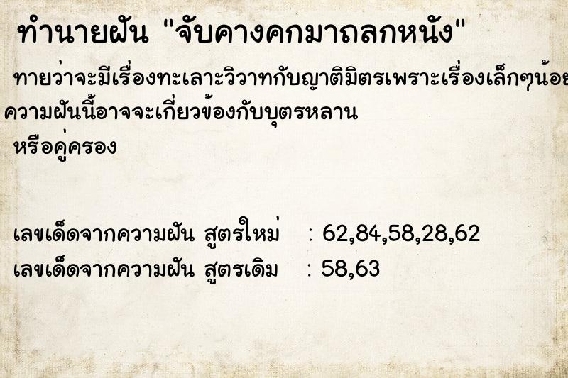 ทำนายฝัน จับคางคกมาถลกหนัง ทำนายฝัน จับคางคกมาถลกหนัง