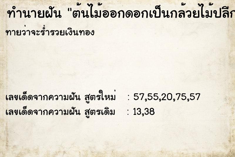 ทำนายฝันต้นไม้ออกดอกเป็นกล้วยไม้ปลีกล้วยและสัปรด ทำนายฝันทำนายฝันต้นไม้ออกดอกเป็นกล้วยไม้ปลีกล้วยและสัปรด