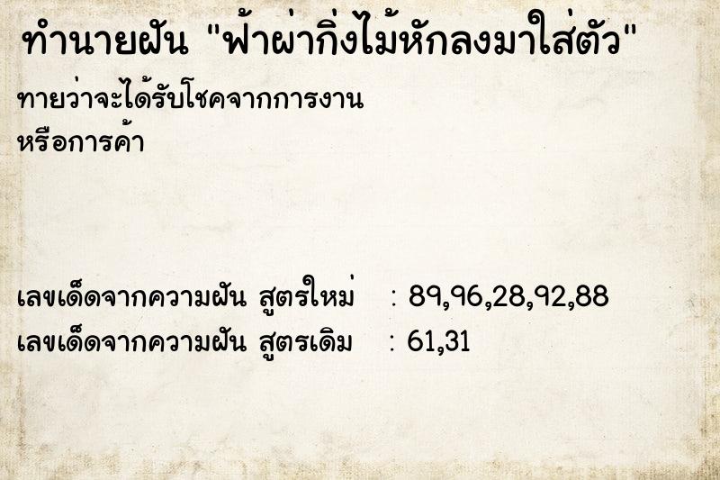 ทำนายฝันฟ้าผ่ากิ่งไม้หักลงมาใส่ตัว ทำนายฝันทำนายฝันฟ้าผ่ากิ่งไม้หักลงมาใส่ตัว