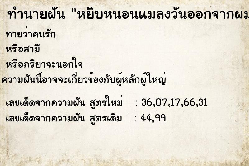 ทำนายฝันหยิบหนอนแมลงวันออกจากผม ทำนายฝันทำนายฝันหยิบหนอนแมลงวันออกจากผม