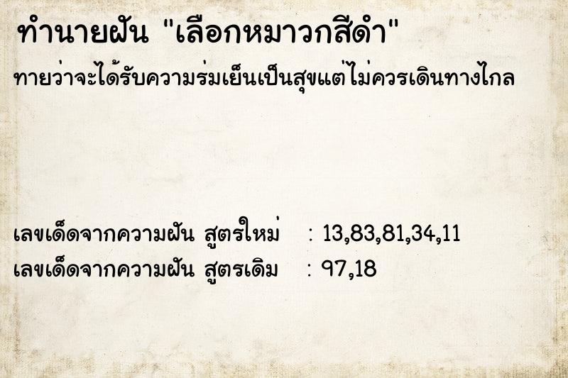 ทำนายฝันเลือกหมาวกสีดำ ทำนายฝันทำนายฝันเลือกหมาวกสีดำ