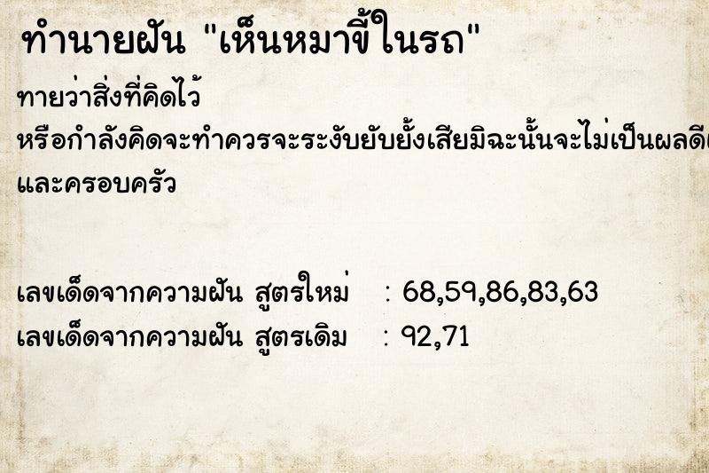 ทำนายฝันเห็นหมาขี้ในรถ ทำนายฝันทำนายฝันเห็นหมาขี้ในรถ