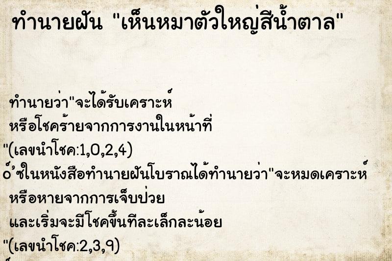 ทำนายฝันทำนายฝันเห็นหมาตัวใหญ่สีน้ำตาล