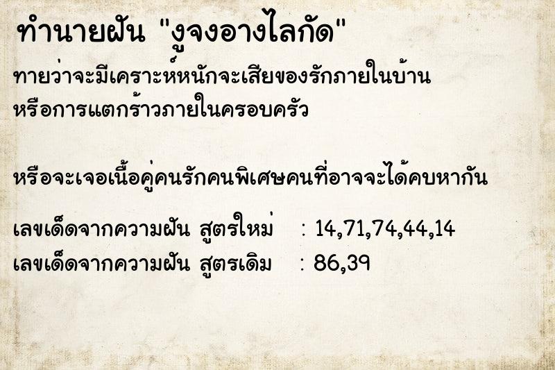 ทำนายฝันงูจงอางไลกัด ทำนายฝันทำนายฝันงูจงอางไลกัด