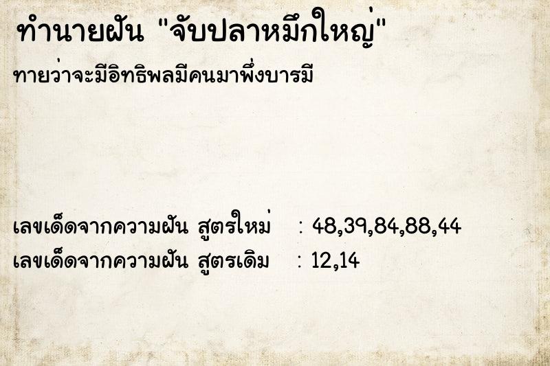ทำนายฝันทำนายฝันจับปลาหมึกใหญ่