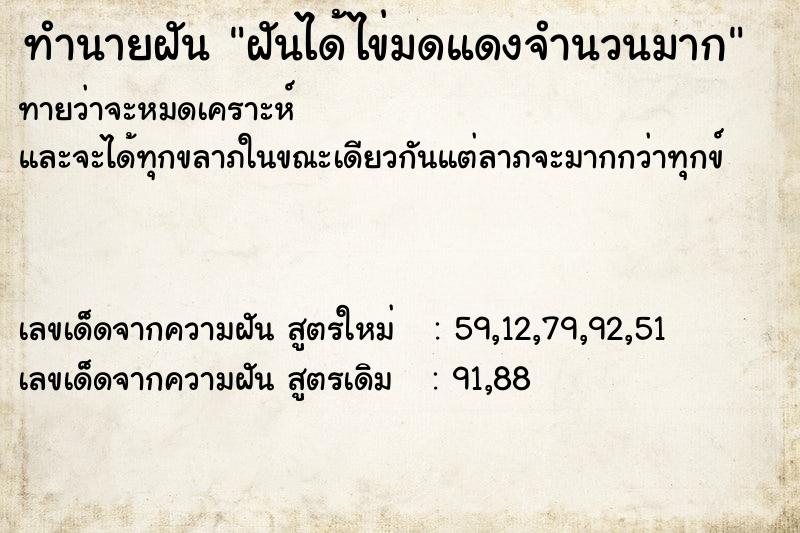 ทำนายฝันฝันได้ไข่มดแดงจำนวนมาก ทำนายฝันทำนายฝันฝันได้ไข่มดแดงจำนวนมาก