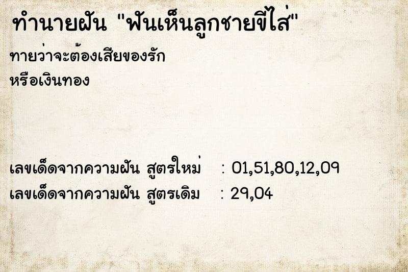 ทำนายฝันทำนายฝันฟันเห็นลูกชายขีไส่