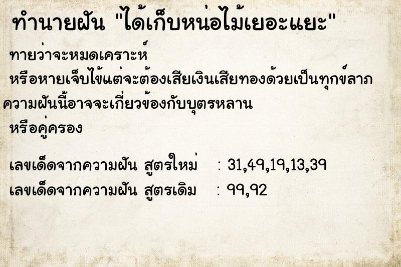 ทำนายฝันได้เก็บหน่อไม้เยอะแยะ ทำนายฝันทำนายฝันได้เก็บหน่อไม้เยอะแยะ