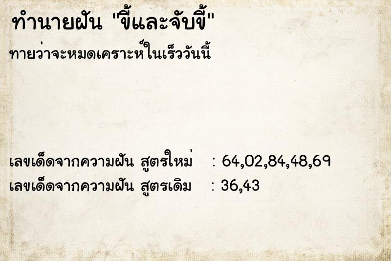ทำนายฝัน ขี้และจับขี้