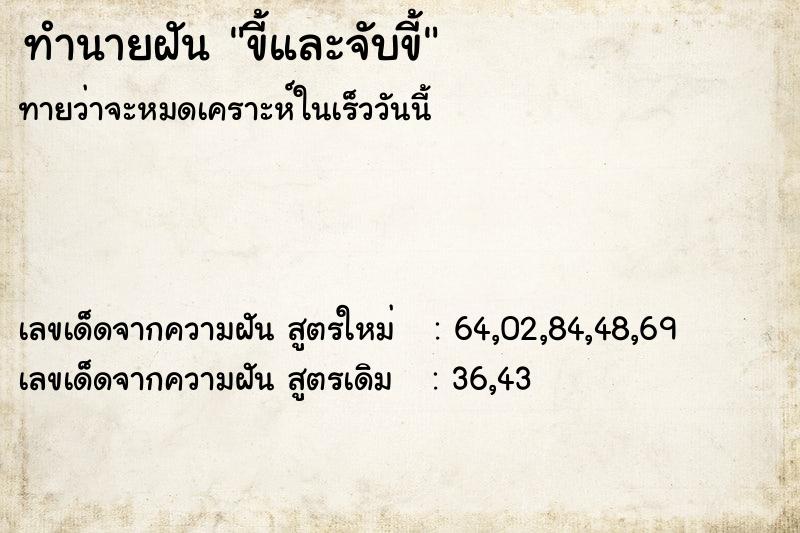 ทำนายฝัน ขี้และจับขี้ ตำราโบราณ แม่นที่สุดในโลก