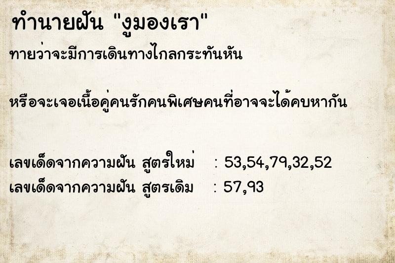 ทำนายฝัน งูมองเรา