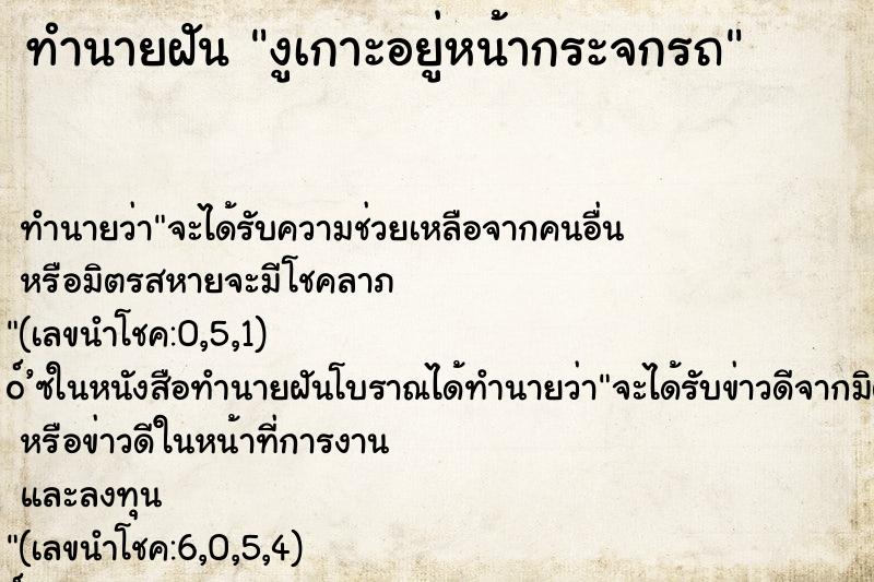 ทำนายฝัน งูเกาะอยู่หน้ากระจกรถ ทำนายฝัน งูเกาะอยู่หน้ากระจกรถ