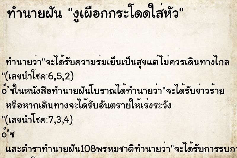 ทำนายฝันงูเผือกกระโดดใส่หัว ทำนายฝันทำนายฝันงูเผือกกระโดดใส่หัว