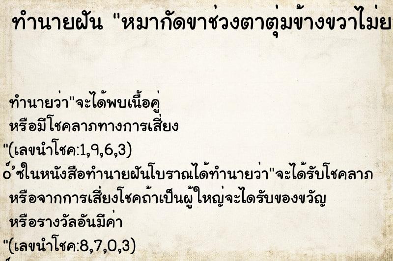 ทำนายฝันหมากัดขาช่วงตาตุ่มข้างขวาไม่ยอมปล่อย ทำนายฝันทำนายฝันหมากัดขาช่วงตาตุ่มข้างขวาไม่ยอมปล่อย