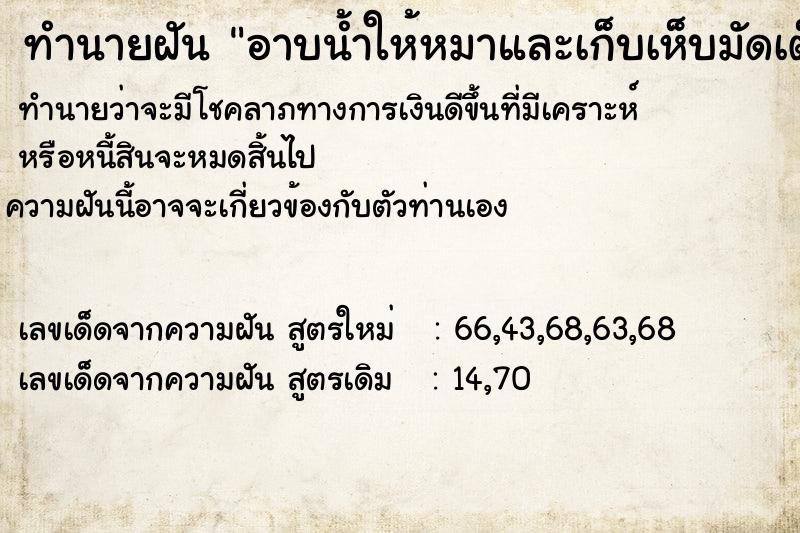 ทำนายฝันอาบน้ำให้หมาและเก็บเห็บมัดเต็มไปหมด ทำนายฝันทำนายฝันอาบน้ำให้หมาและเก็บเห็บมัดเต็มไปหมด