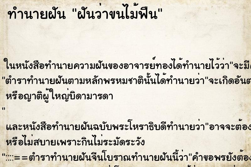 ทำนายฝัน ฝันว่าขนไม้ฟืน