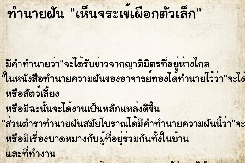 ทำนายฝัน เห็นจระเข้เผือกตัวเล็ก ทำนายฝัน เห็นจระเข้เผือกตัวเล็ก
