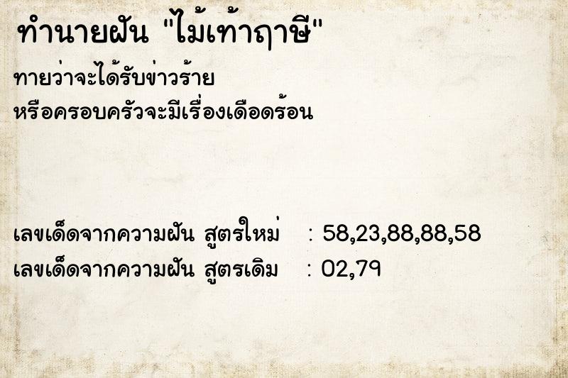ทำนายฝันทำนายฝันไม้เท้าฤาษี