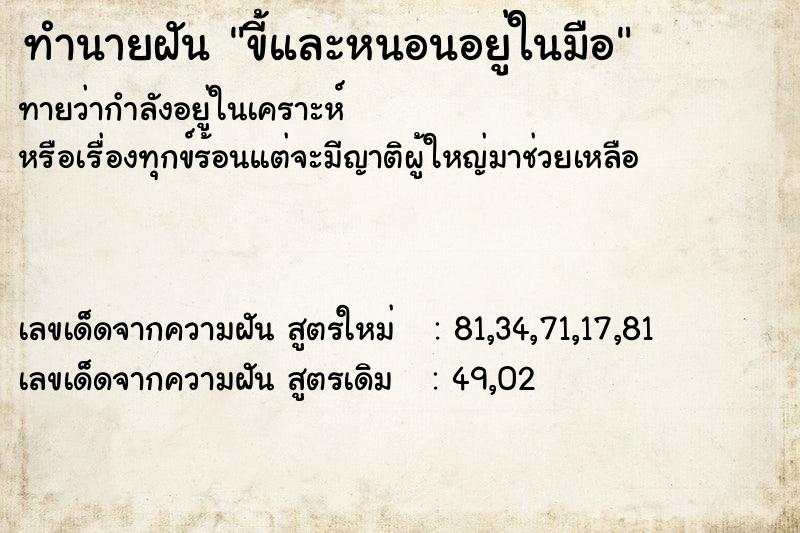 ทำนายฝันขี้และหนอนอยู่ในมือ ทำนายฝันทำนายฝันขี้และหนอนอยู่ในมือ