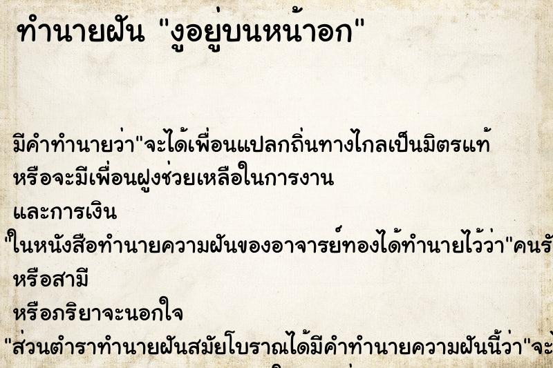 ทำนายฝัน งูอยู่บนหน้าอก ทำนายฝัน งูอยู่บนหน้าอก
