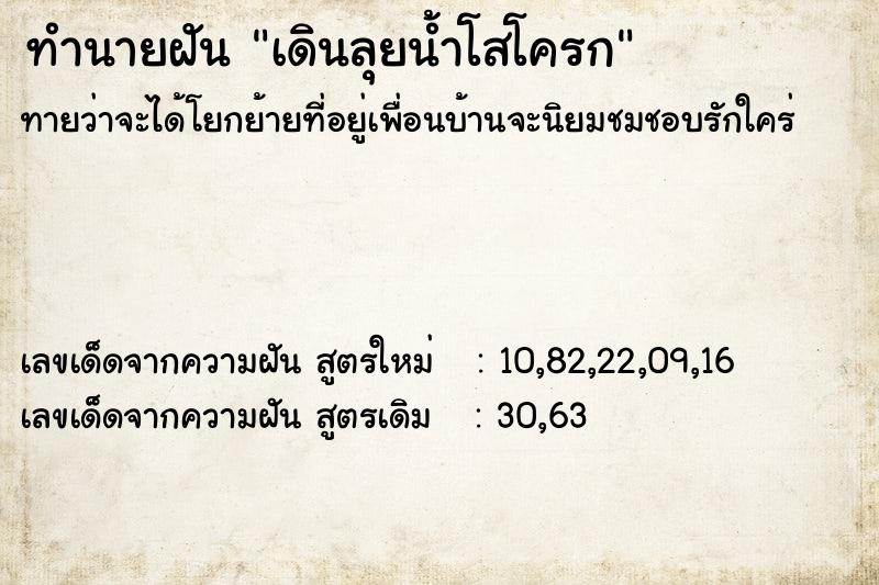 ทำนายฝันทำนายฝันเดินลุยน้ำโสโครก