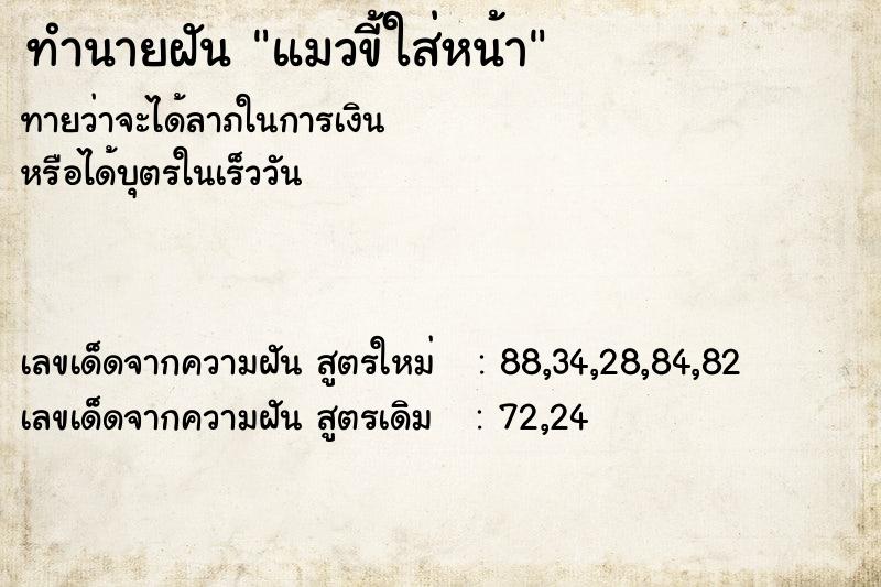 ทำนายฝันทำนายฝันแมวขี้ใส่หน้า