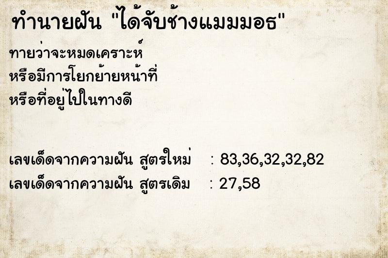 ทำนายฝันได้จับช้างแมมมอธ ทำนายฝันทำนายฝันได้จับช้างแมมมอธ