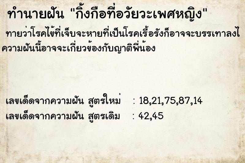 ทำนายฝันกิ้งกือที่อวัยวะเพศหญิง ทำนายฝันทำนายฝันกิ้งกือที่อวัยวะเพศหญิง