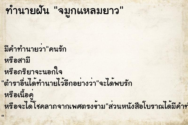 ทำนายฝันจมูกแหลมยาว ทำนายฝันทำนายฝันจมูกแหลมยาว