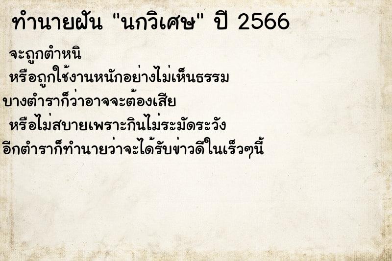 ทำนายฝัน นกวิเศษ ทำนายฝัน นกวิเศษ