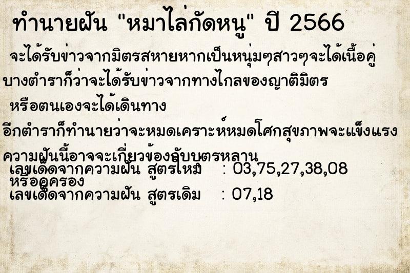 ทำนายฝัน หมาไล่กัดหนู ทำนายฝัน หมาไล่กัดหนู