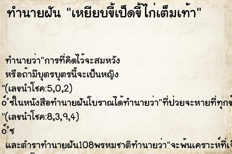 ทำนายฝัน เหยียบขี้เป็ดขี้ไก่เต็มเท้า ทำนายฝัน เหยียบขี้เป็ดขี้ไก่เต็มเท้า