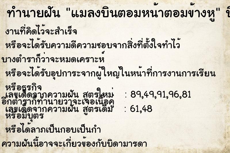 ทำนายฝันแมลงบินตอมหน้าตอมข้างหู ทำนายฝันทำนายฝันแมลงบินตอมหน้าตอมข้างหู