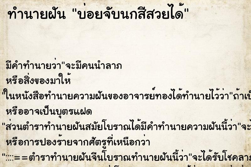 ทำนายฝัน บ่อยจับนกสีสวยได้ ทำนายฝัน บ่อยจับนกสีสวยได้