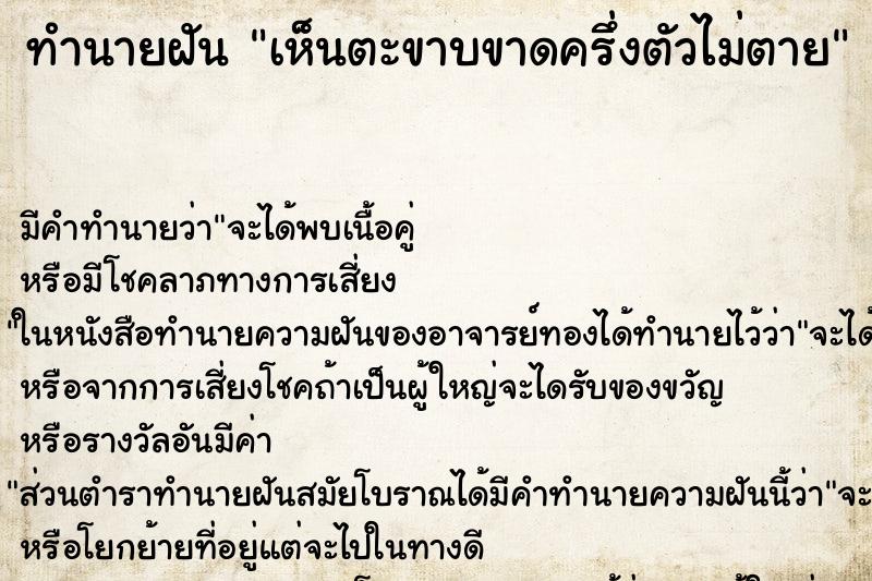 ทำนายฝัน เห็นตะขาบขาดครึ่งตัวไม่ตาย ตำราโบราณ แม่นที่สุดในโลก