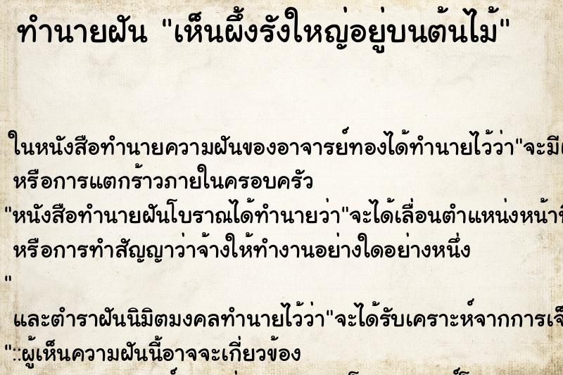 ทำนายฝัน เห็นผึ้งรังใหญ่อยู่บนต้นไม้ ทำนายฝัน เห็นผึ้งรังใหญ่อยู่บนต้นไม้