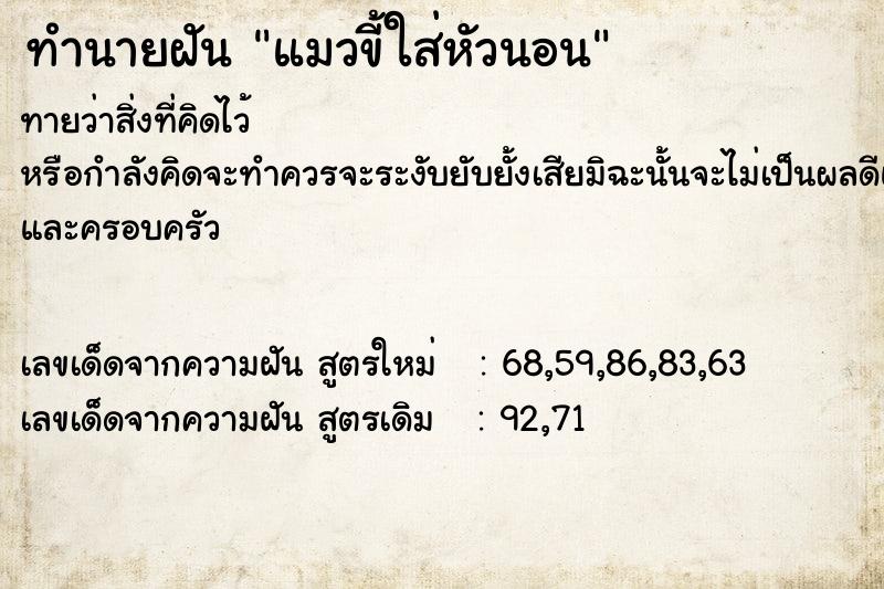 ทำนายฝันแมวขี้ใส่หัวนอน ทำนายฝันทำนายฝันแมวขี้ใส่หัวนอน