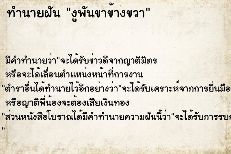 ทำนายฝัน งูพันขาข้างขวา ทำนายฝัน งูพันขาข้างขวา