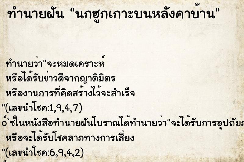 ทำนายฝันนกฮูกเกาะบนหลังคาบ้าน ทำนายฝันทำนายฝันนกฮูกเกาะบนหลังคาบ้าน