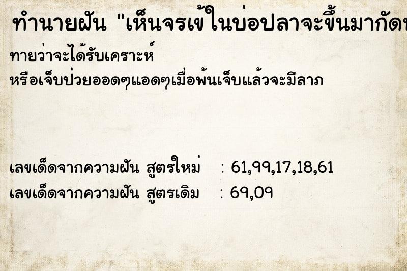 ทำนายฝันเห็นจรเข้ในบ่อปลาจะขึ้นมากัดหลาน ทำนายฝันทำนายฝันเห็นจรเข้ในบ่อปลาจะขึ้นมากัดหลาน