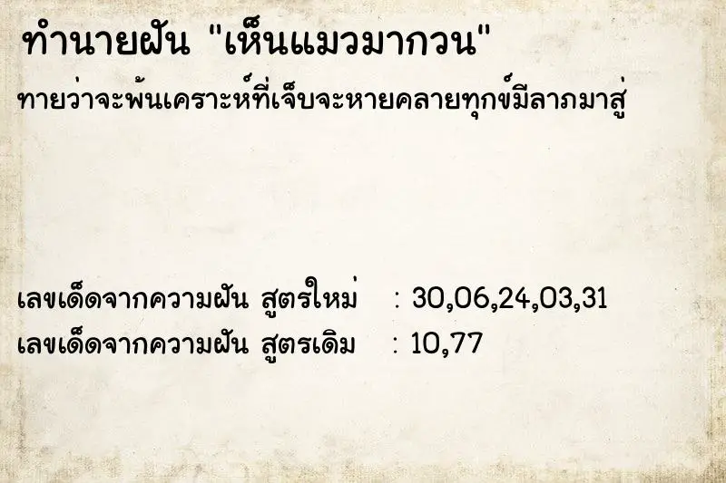 ทำนายฝัน เห็นแมวมากวน ตำราโบราณ แม่นที่สุดในโลก