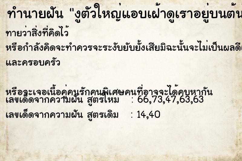 ทำนายฝันงูตัวใหญ่แอบเฝ้าดูเราอยู่บนต้นไม้ ทำนายฝันทำนายฝันงูตัวใหญ่แอบเฝ้าดูเราอยู่บนต้นไม้