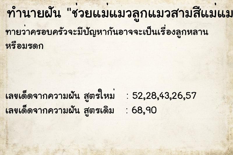 ทำนายฝันทำนายฝันช่วยแม่แมวลูกแมวสามสีแม่แมวลูกแมวสีเทาโดยให้อาหาร