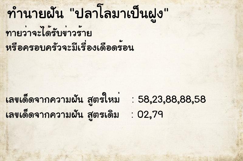 ทำนายฝันปลาโลมาเป็นฝูง ทำนายฝันทำนายฝันปลาโลมาเป็นฝูง