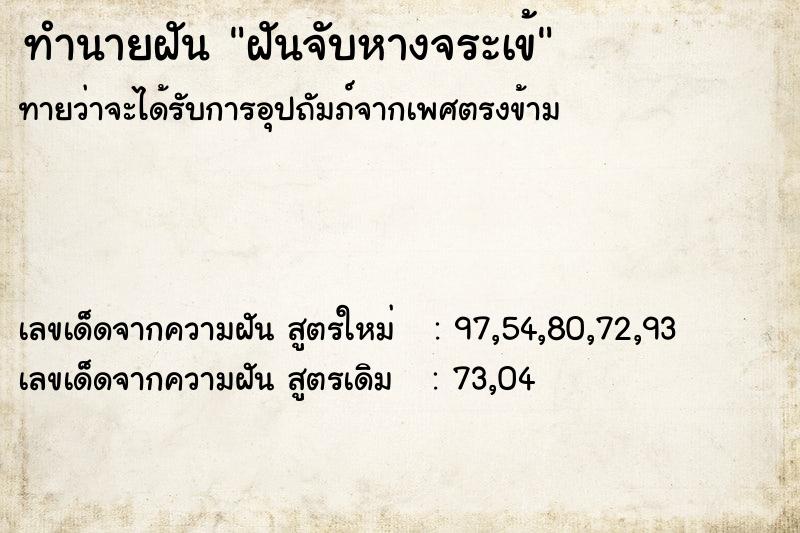 ทำนายฝันฝันจับหางจระเข้ ทำนายฝันทำนายฝันฝันจับหางจระเข้