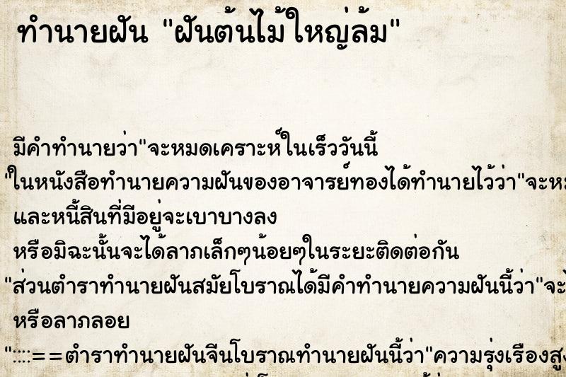ทำนายฝัน ฝันต้นไม้ใหญ่ล้ม ทำนายฝัน ฝันต้นไม้ใหญ่ล้ม
